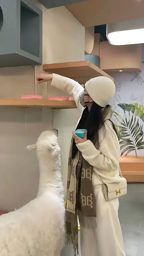 亚洲精品成人视频免费